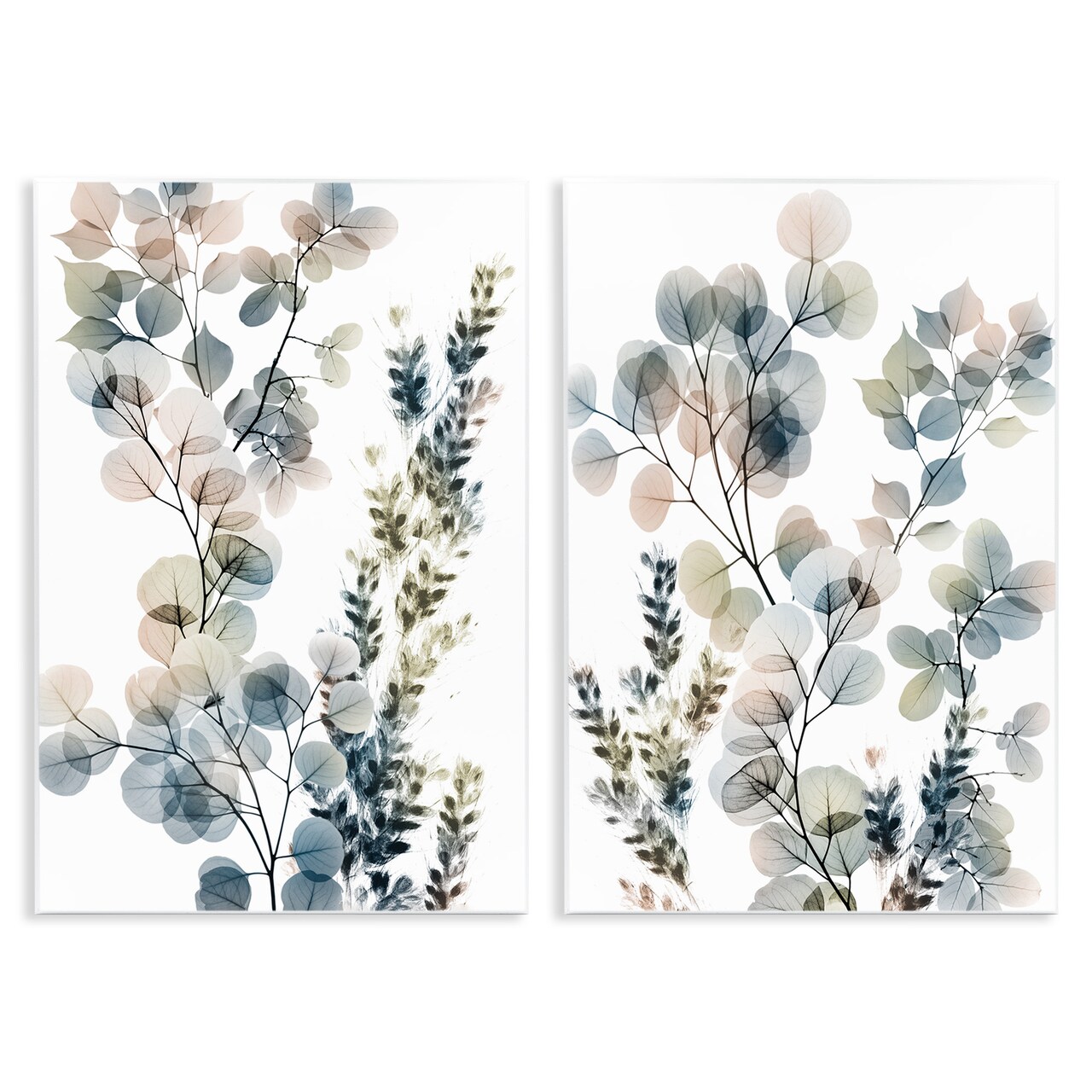 Stupell Industries Collage of Translucent Plants Wall Plaque Art